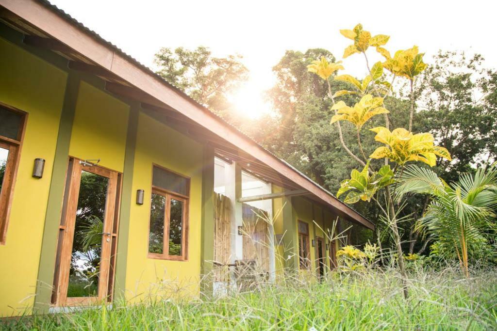 Rapture Surfcamp Nicaragua Hotell San Juan del Sur Exteriör bild